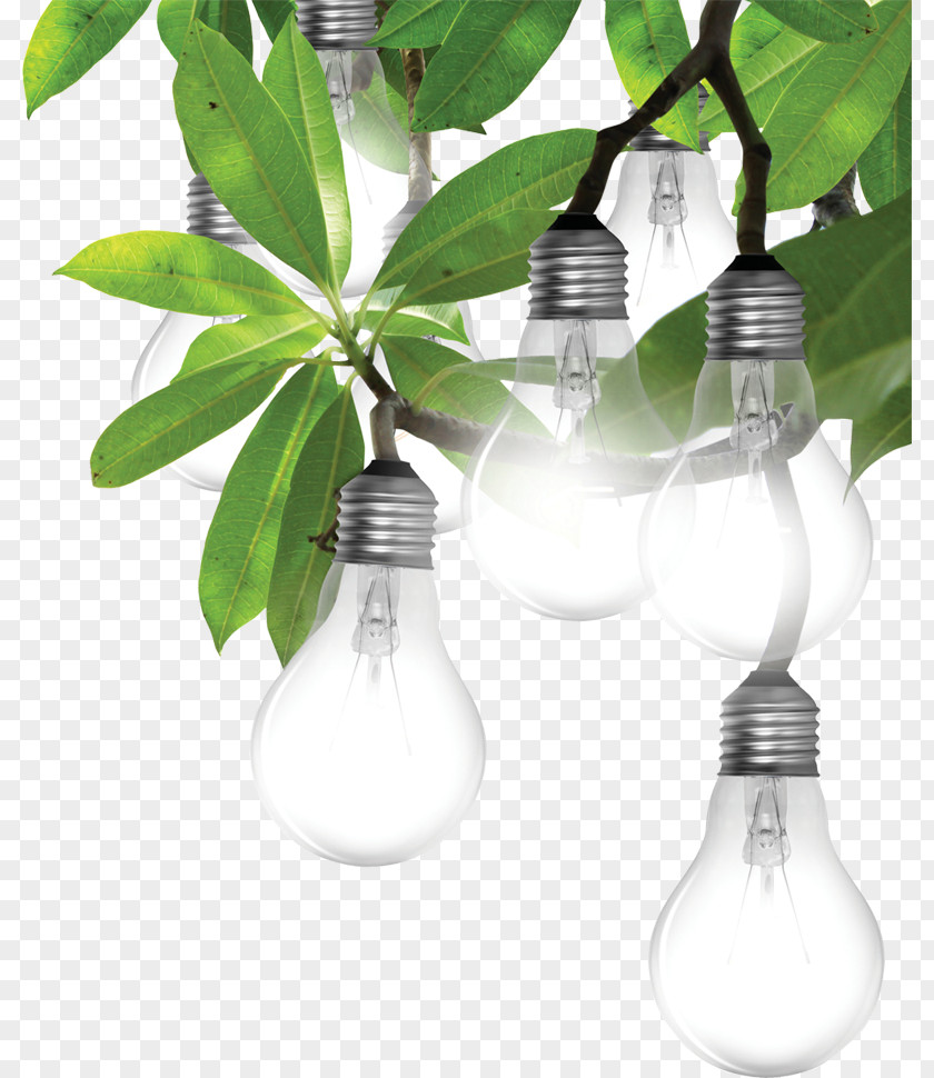Lamps Incandescent Light Bulb Lighting LED Lamp Light-emitting Diode PNG