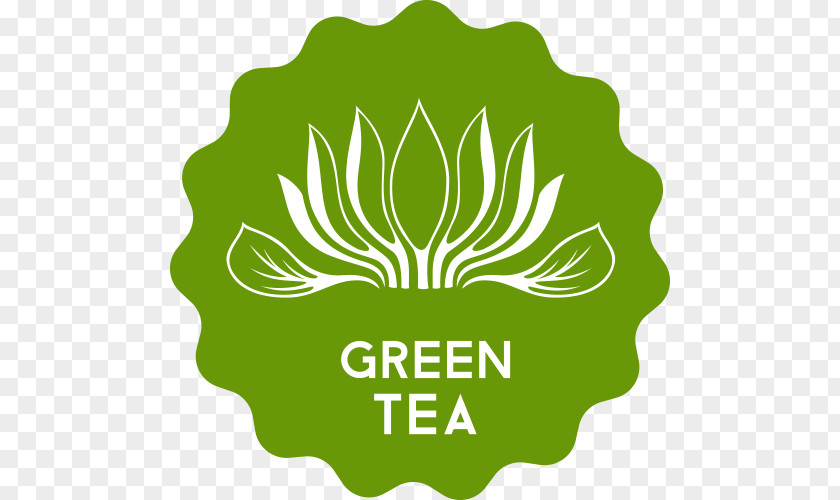 Tea Icon PNG
