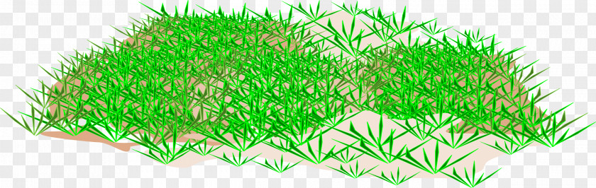 Grass Clip Art PNG