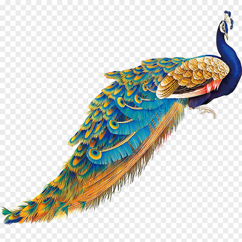 Lifelike Peacock Tail China Bird Peafowl Feather PNG