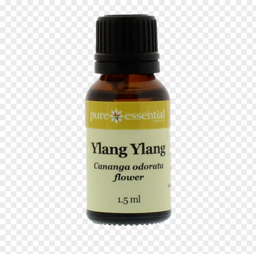 Oil Ylang-ylang Essential Liquid Product PNG