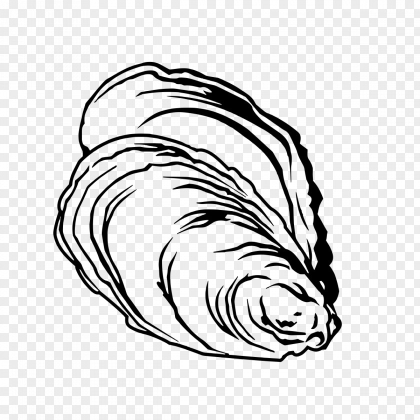 Outline Vector Oyster The Emerson Restaurant Bayou Pteriidae Clip Art PNG