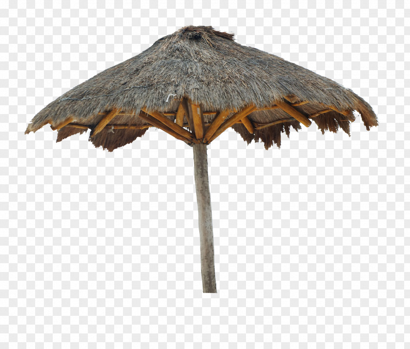 Beach Umbrella Wood /m/083vt PNG