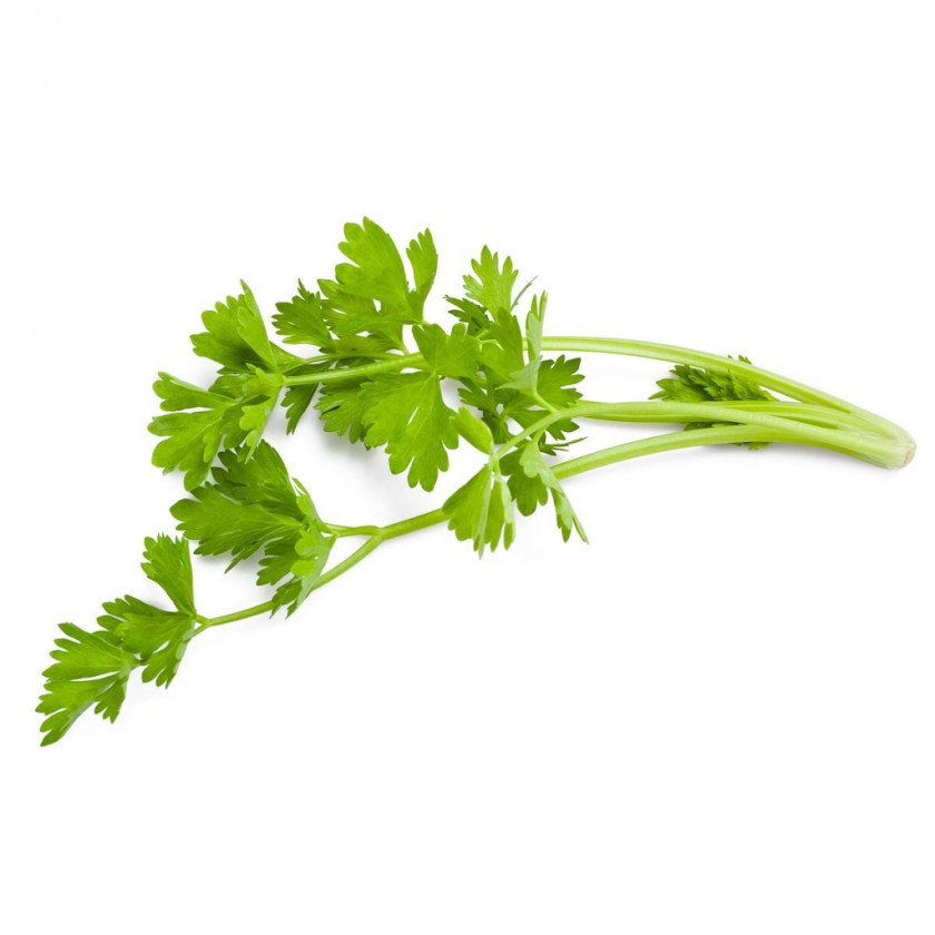 Celery Celeriac Vegetable Food Nutrition Facts Label PNG