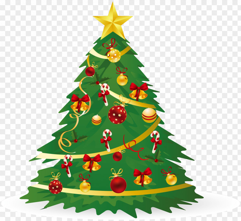Christmas Eve Evergreen Decoration PNG
