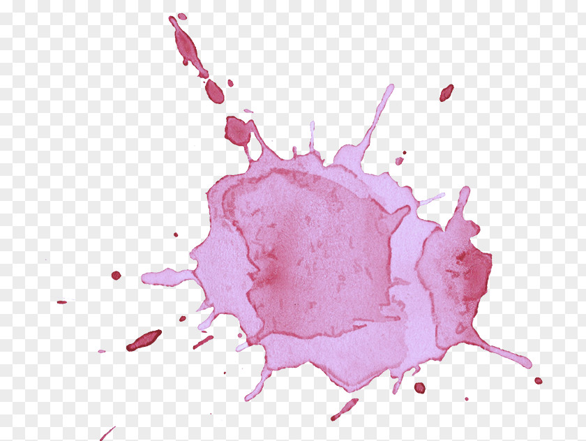 Drawing Flower Pink Magenta Plant Animation Liquid PNG