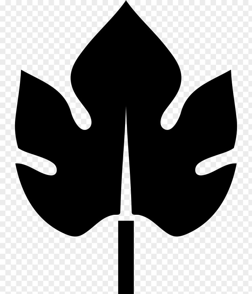 Leaf Symbol Sport Clip Art PNG
