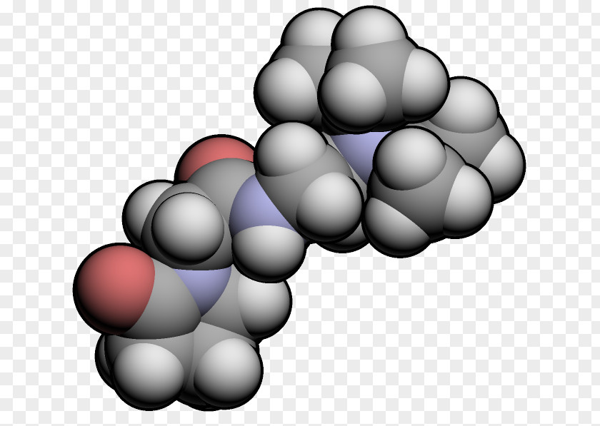 Pramiracetam Dietary Supplement Nootropic Piracetam PNG