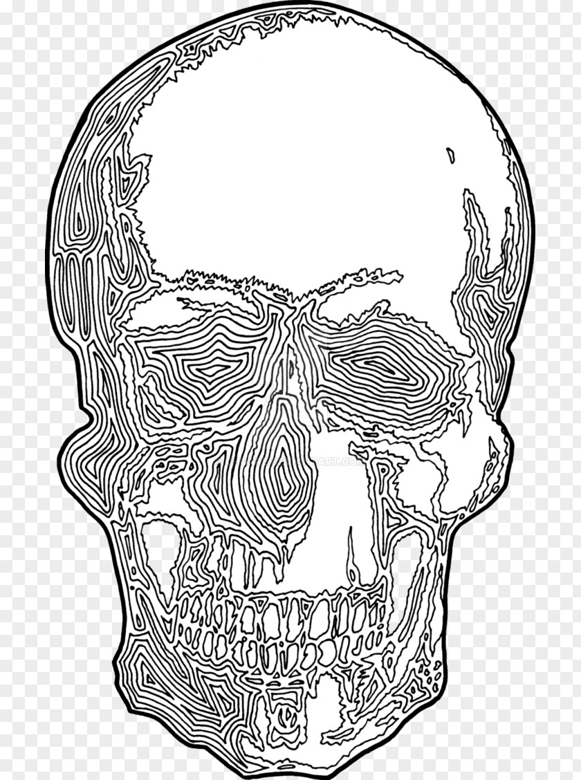 Skull Print Drawing Visual Arts PNG