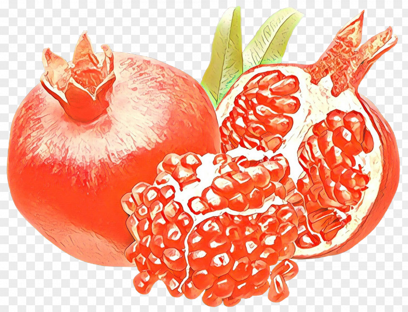Tomato Accessory Fruit PNG