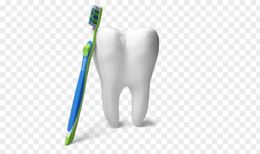 Toothbrush Tandartspraktijk Arnhem Dentistry PNG