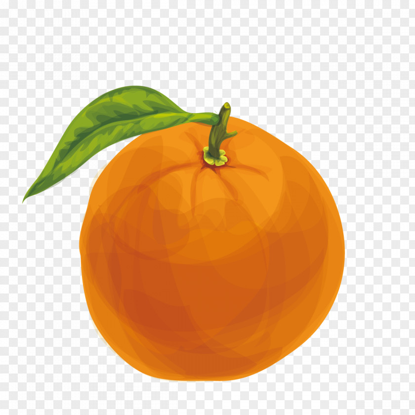 Vector Painted Orange Juice Lemon Mandarin PNG