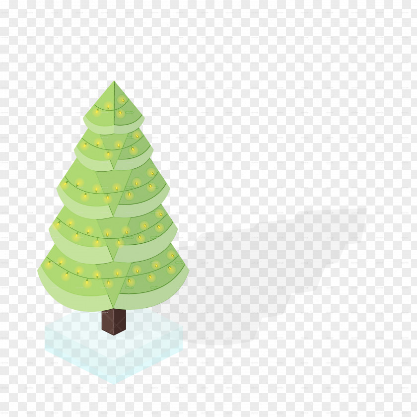 Woody Plant Pine Family Christmas Tree PNG