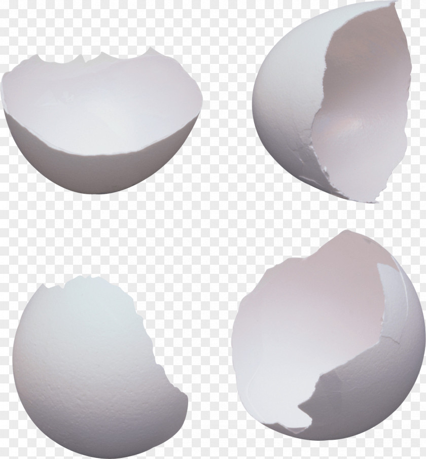 Egg Eggshell Yolk PNG
