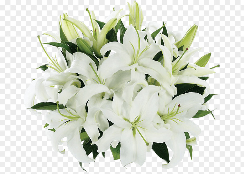 Gladiolus Png White Flower Madonna Lily Bouquet Floral Design 'Stargazer' PNG
