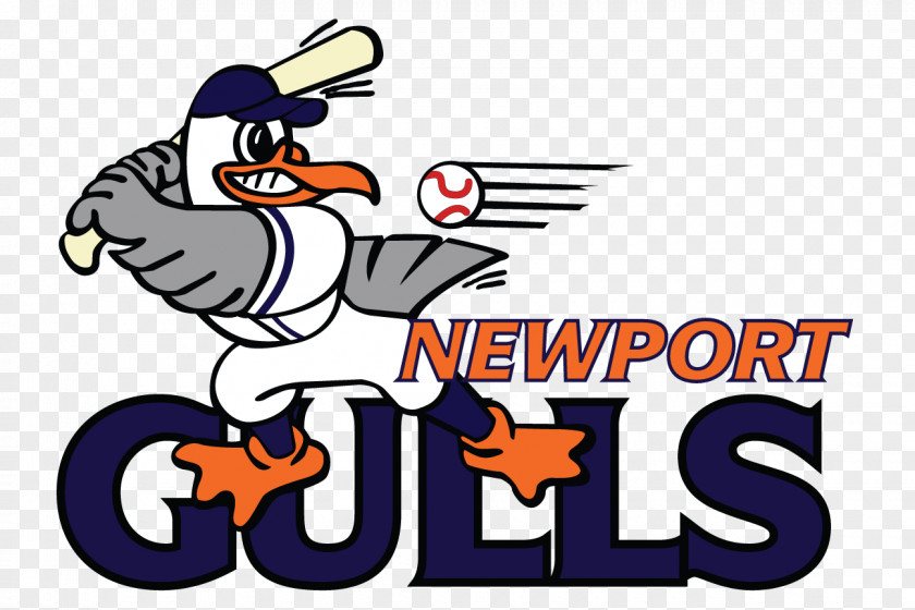 Gull Middletown Cardines Field Newport Gulls New England Collegiate Baseball League PNG