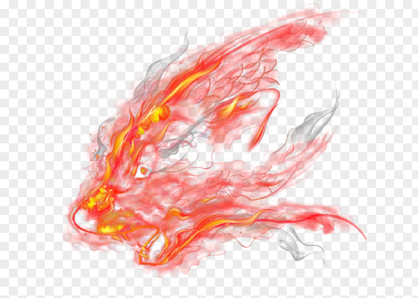 Lionhead Flame Download RGB Color Model PNG