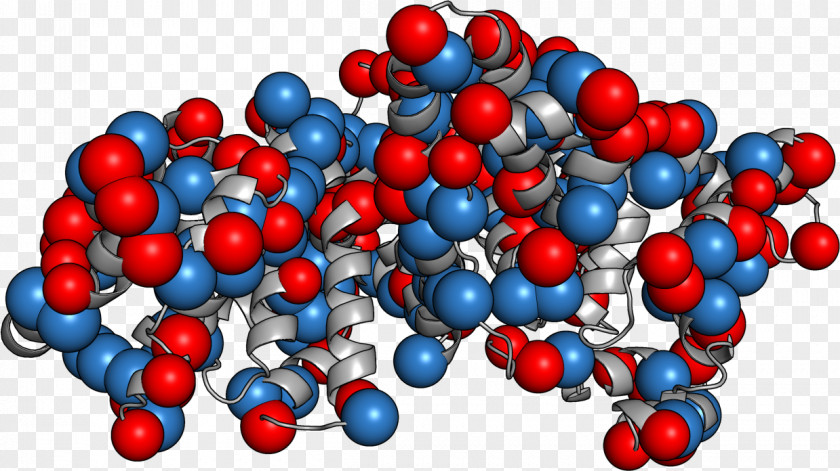 Lm Human Serum Albumin Blood Proteins PNG