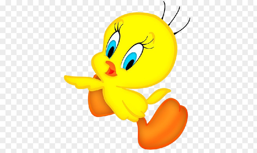 Parrot Cartoon Tweety Sylvester Looney Tunes PNG
