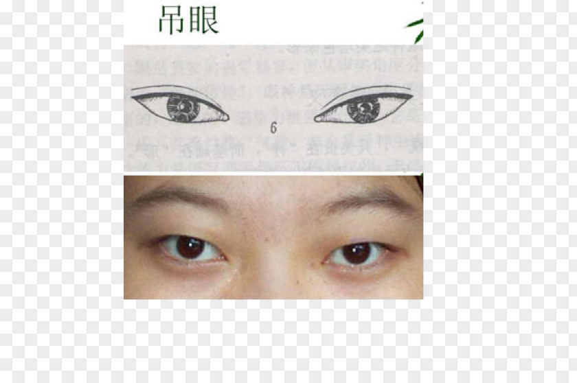 Realistic Sketch Eye Liner Cosmetics Shadow Face PNG