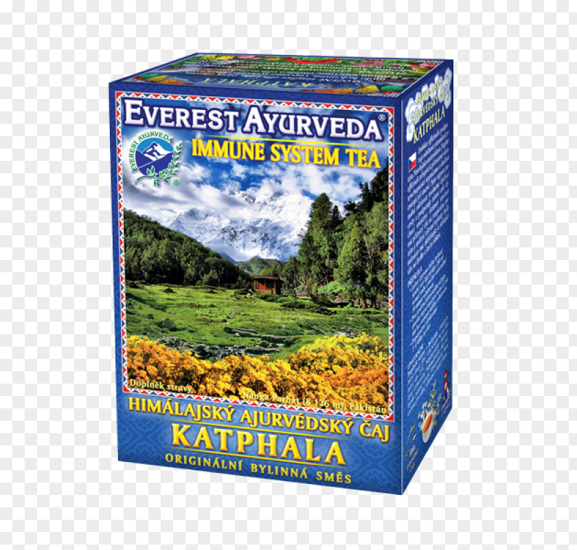 Tea Herbal Ayurveda Himalayas Health PNG