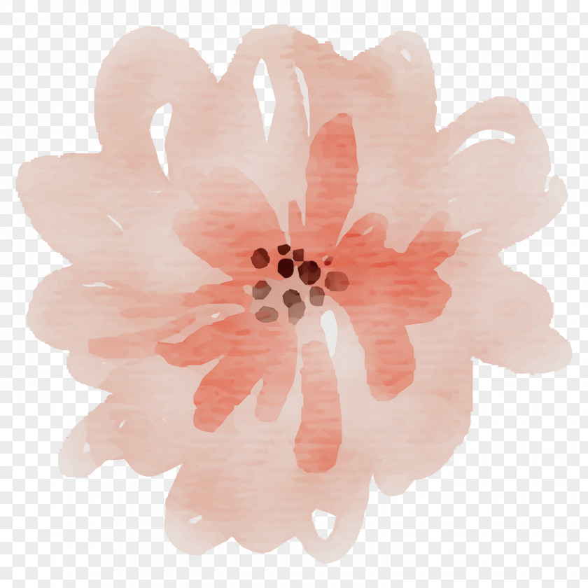 Wildflower Hair Accessory Pink Flower Cartoon PNG