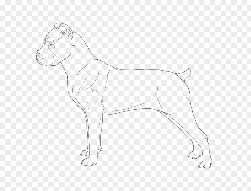 Cane Corso Dog Breed Drawing Line Art Sketch PNG