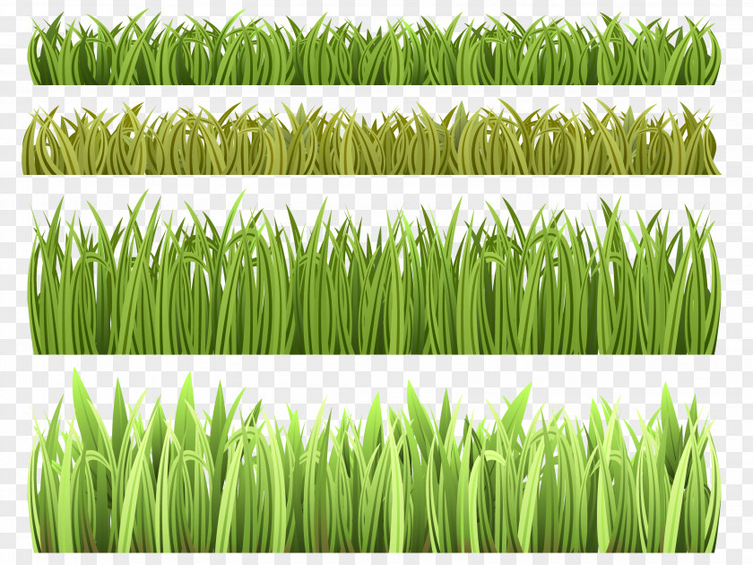 Grass Royalty-free Clip Art PNG