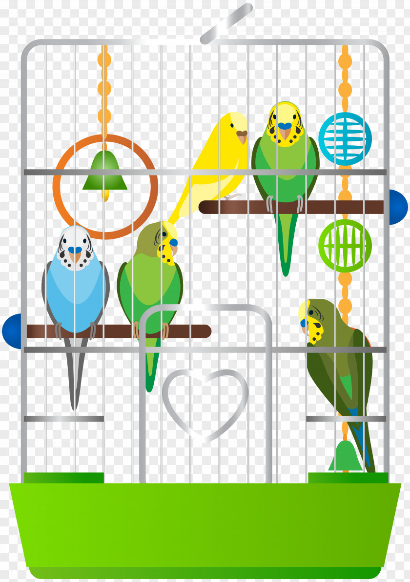 Parrot Guinea Pig Pet Parakeet Clip Art PNG