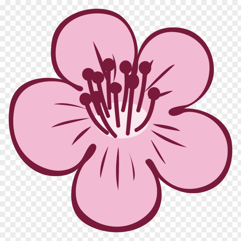 Plum Blossoms Winter Flower PNG