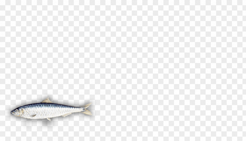 Silver Body Jewellery Fish PNG