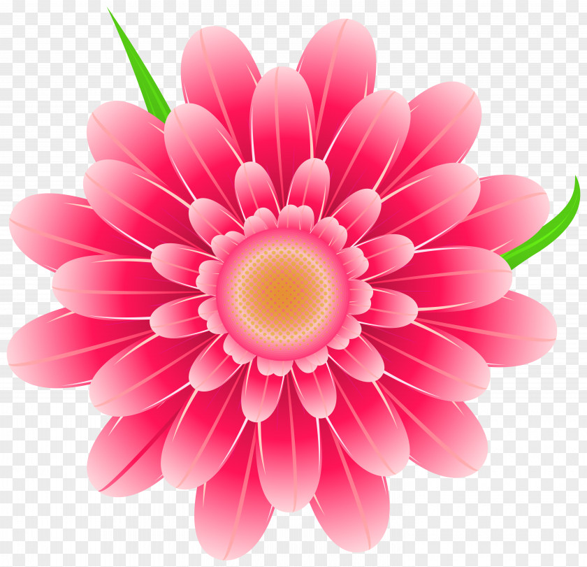 Transparent Floral Cliparts Pink Flowers Clip Art PNG