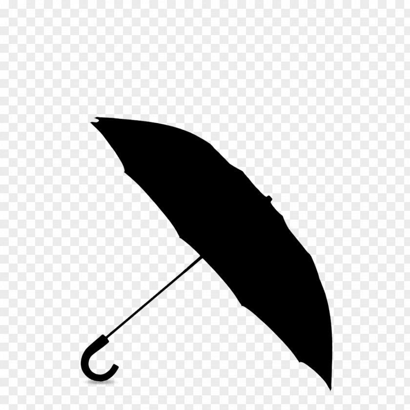 Wing Feather Umbrella Cartoon PNG