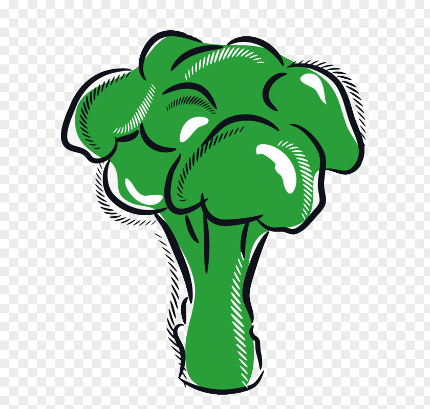 Anggrek Cartoon Cauliflower Clip Art Sprouting Broccoli Vector Graphics Vegetable PNG