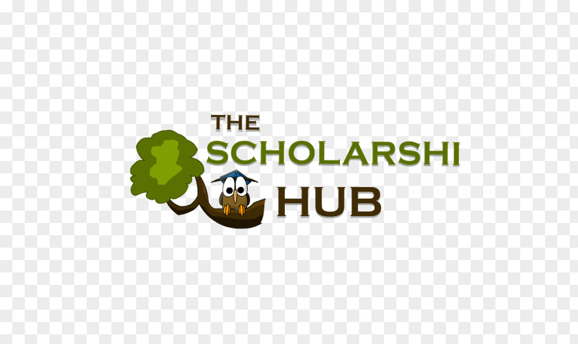 Business Scholarship Bodossaki Foundation Education PNG