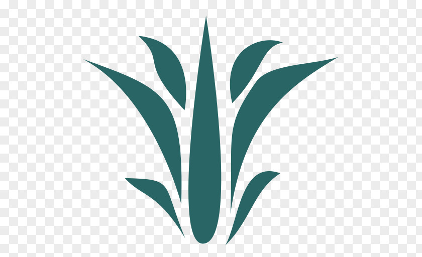 Perennial Plant Blackandwhite Green Leaf Logo PNG