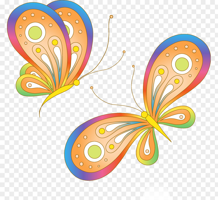 Butterfly Stock Photography Clip Art PNG