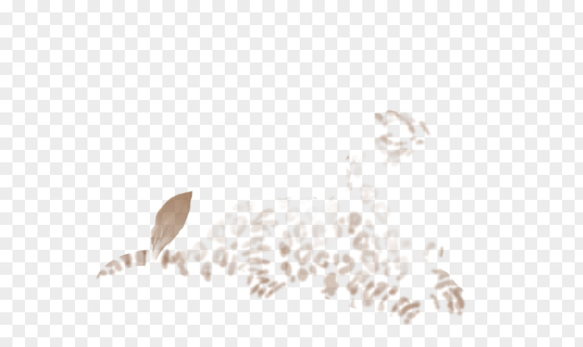 Fuzzy Light Feather Line Brown Sky Plc Font PNG