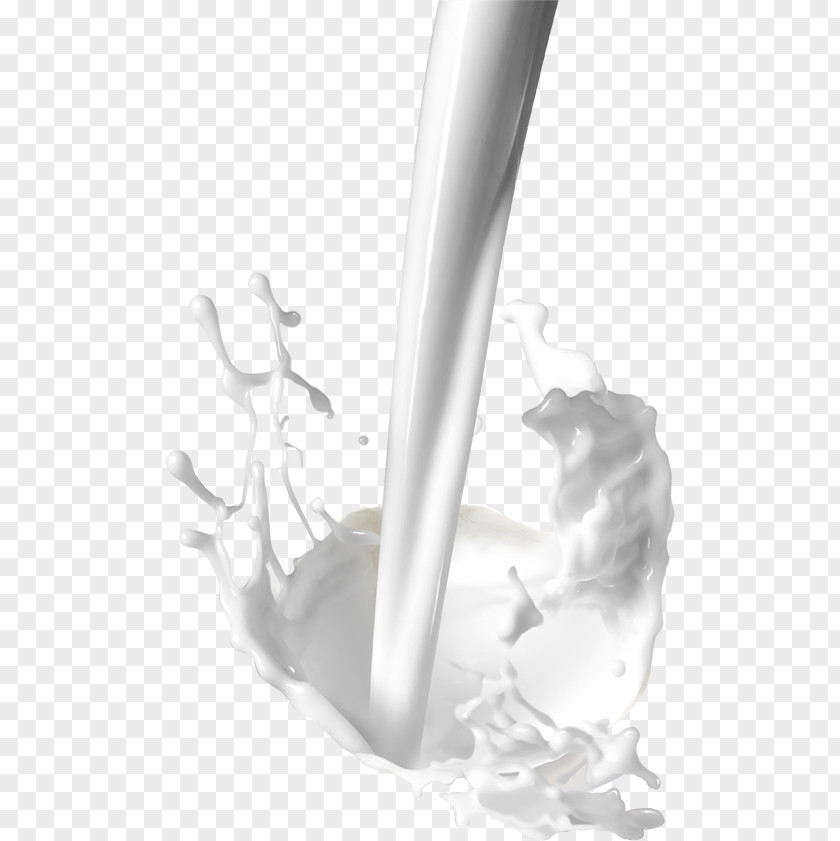 Milk Coconut Water Powdered Flavored PNG