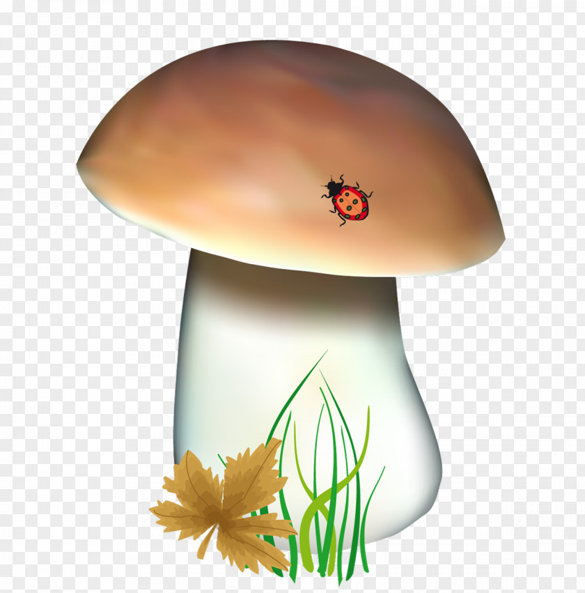 Mushroom Boletus Edulis Fungus Clip Art PNG