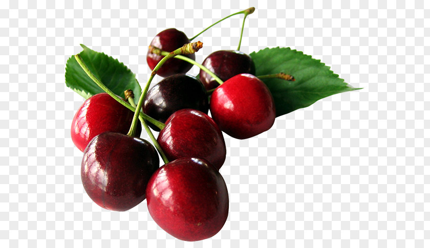 Plum Cherry Pie Sour Cherries PNG