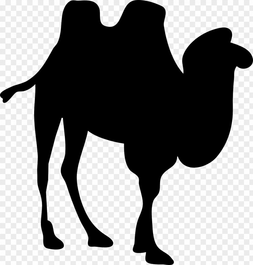 Silhouette Bactrian Camel Dromedary Clip Art PNG