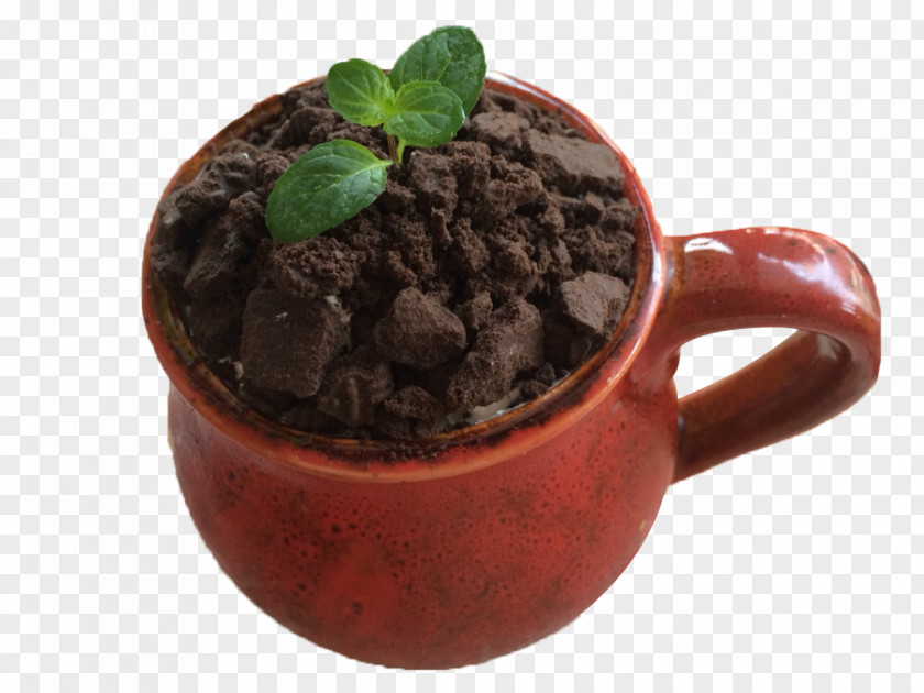 Cup Potted Plants Tea Milk Cocoa Solids PNG