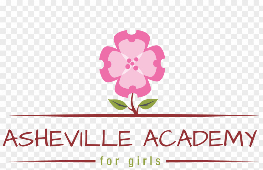 Dr Disrespect Logo Asheville Academy Therapeutic Boarding School Western North Carolina Alpine PNG