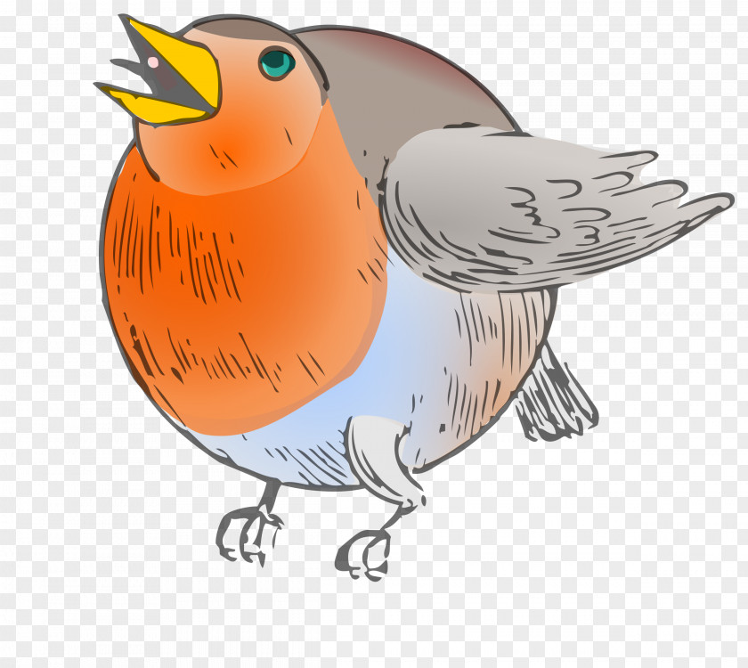 Rectangle European Robin Bird Round-robin Scheduling Clip Art PNG