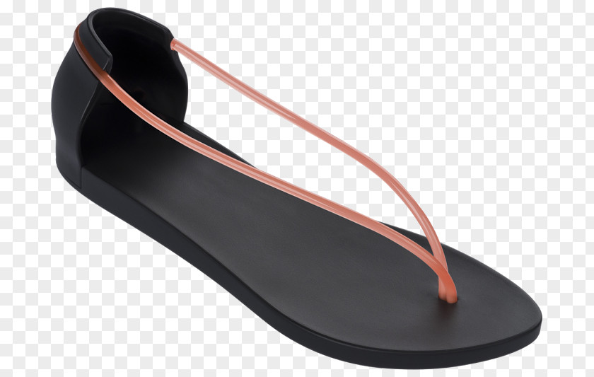 Sandal Ipanema Slipper Shoe Design PNG