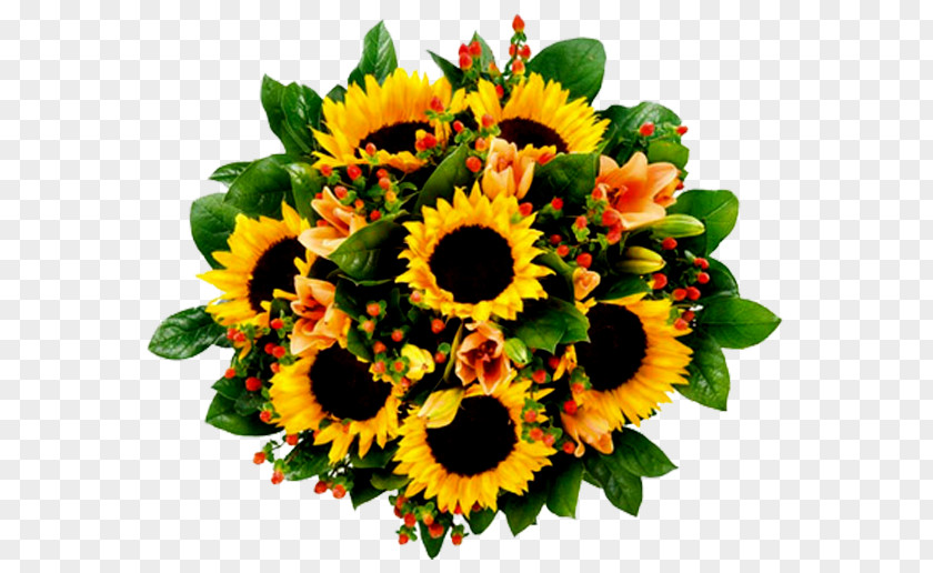 Sunflower Birthday Wish Joy Holiday Smile PNG