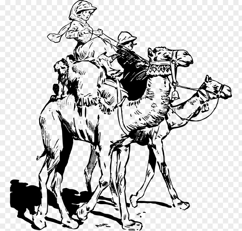 Camel Black And White Clip Art PNG