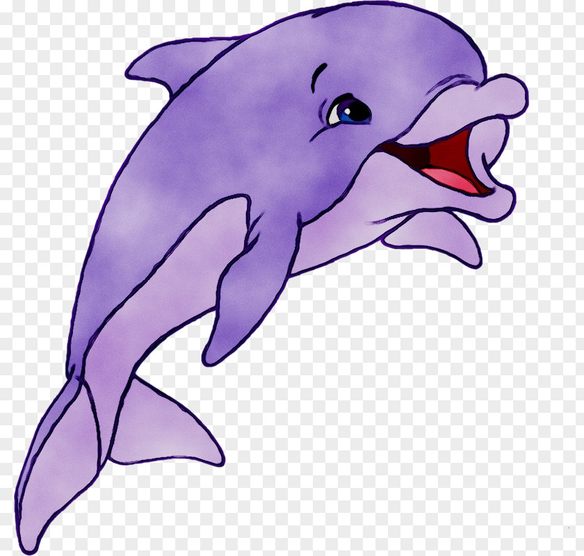 Common Bottlenose Dolphin Rough-toothed Short-beaked Tucuxi PNG