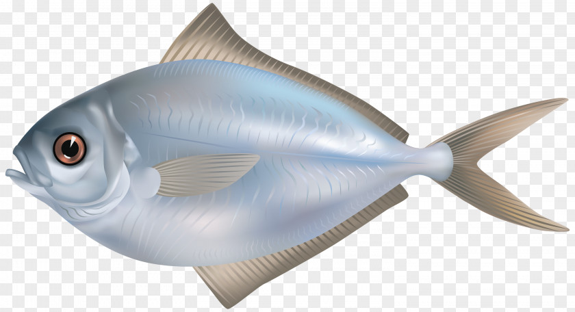 Fish As Food Fishing Clip Art PNG